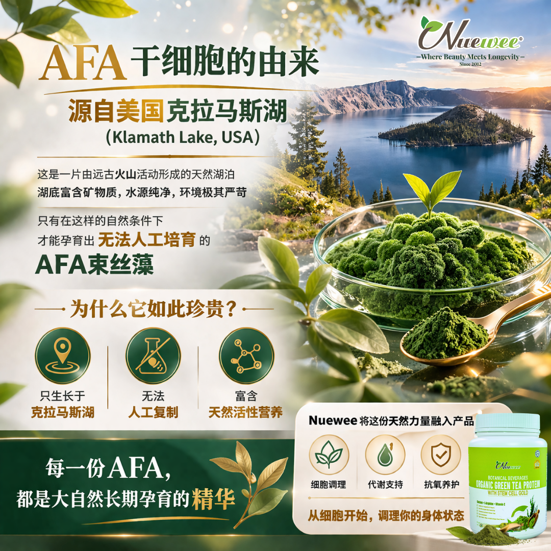AFA 干细胞的由来