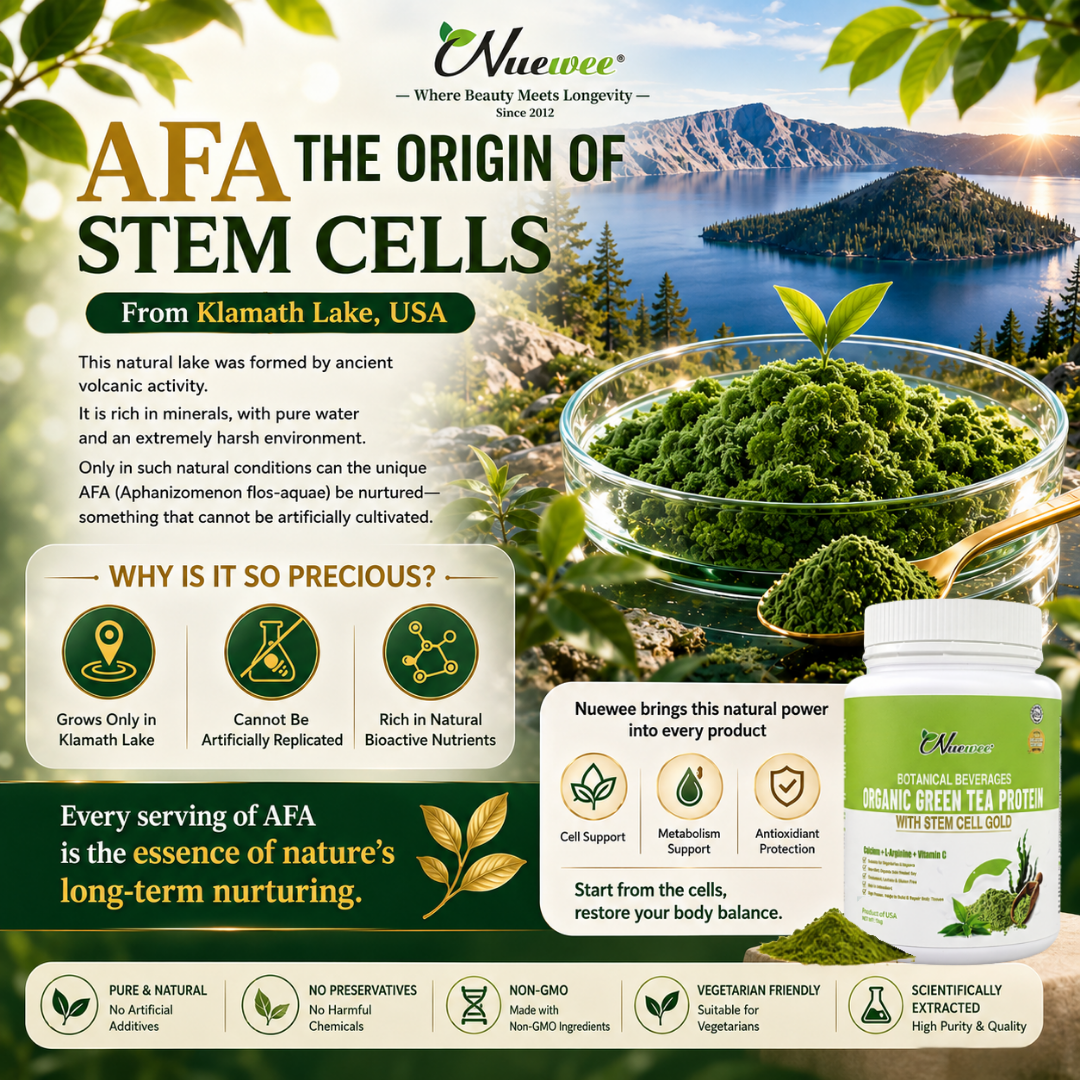 AFA 干细胞的由来 英文