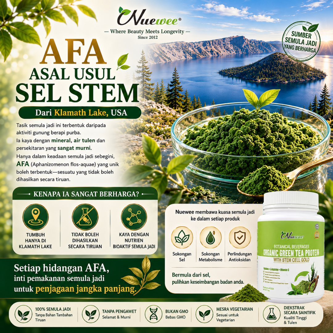 AFA 干细胞的由来 马来文