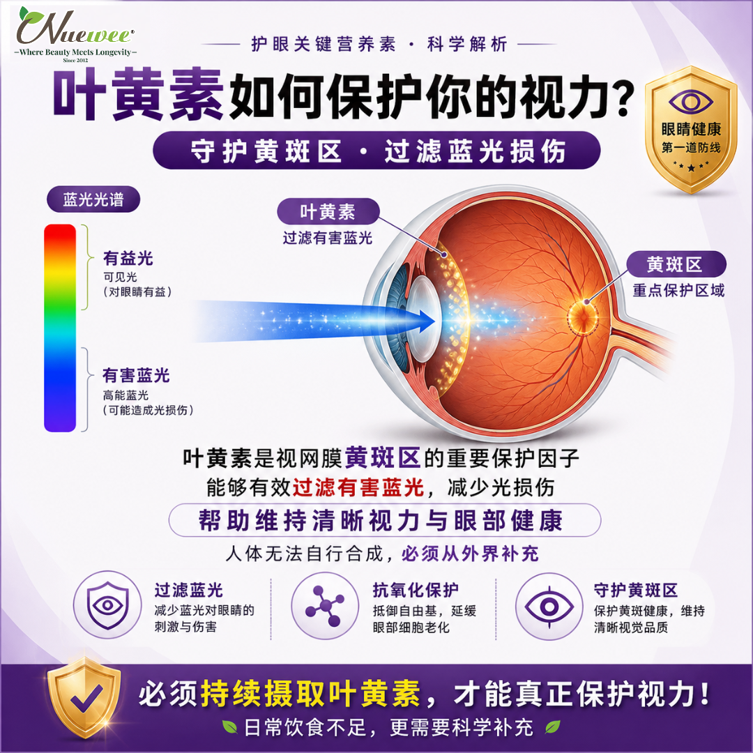 叶黄素如何保护您的视力