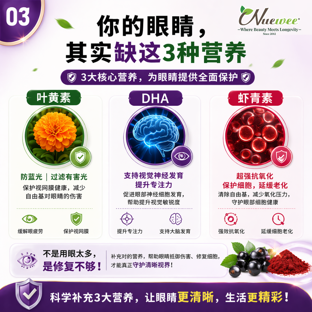 BC 懒人包-3