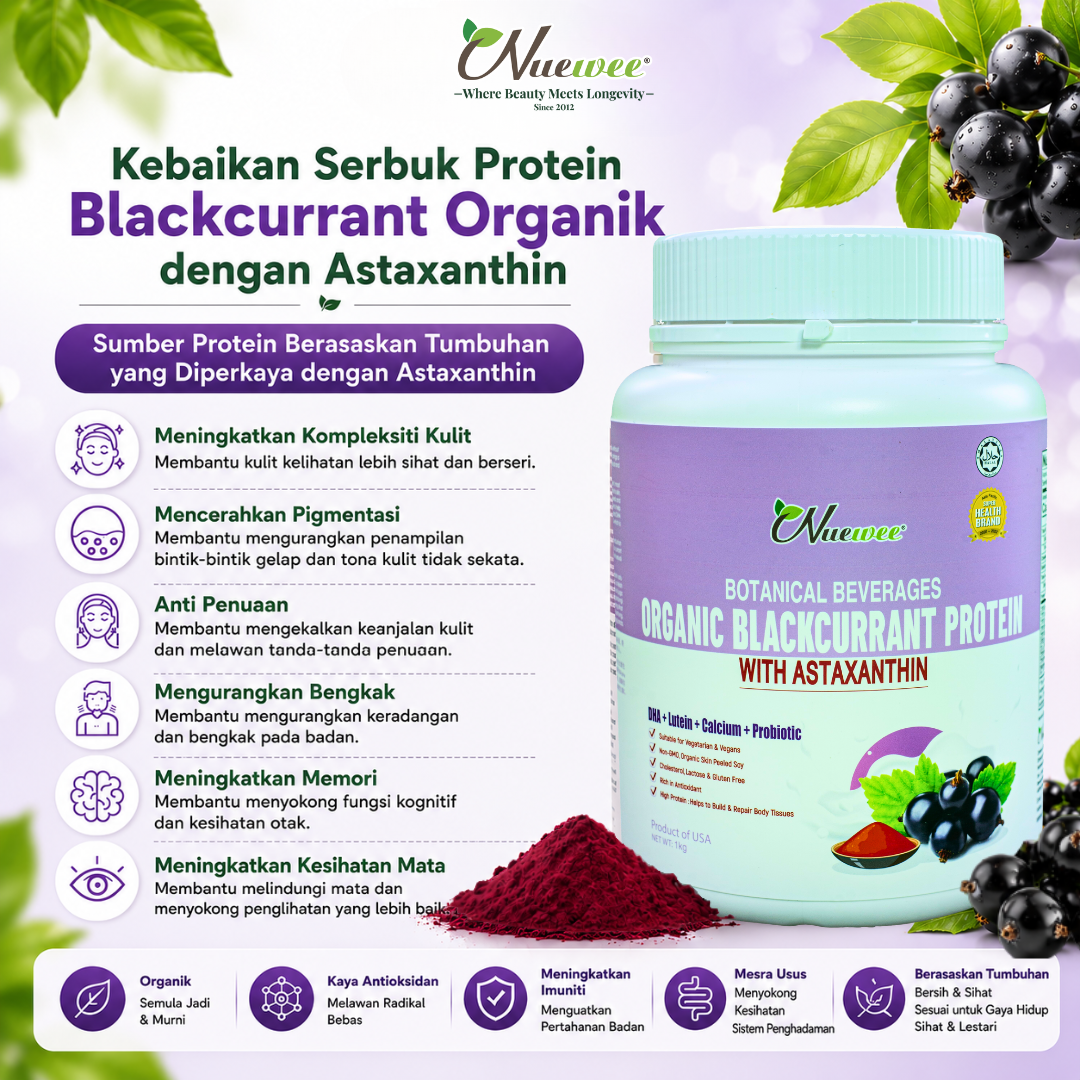 Benefit of Blackcurrant Protein 马来文