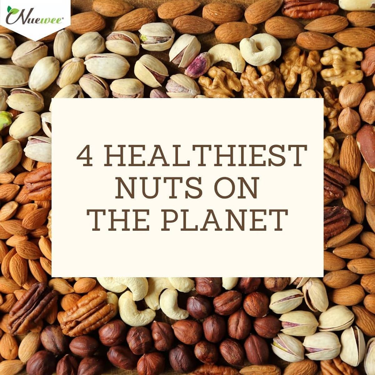 4 HEALTHIEST NUTS ON THE PLANET
