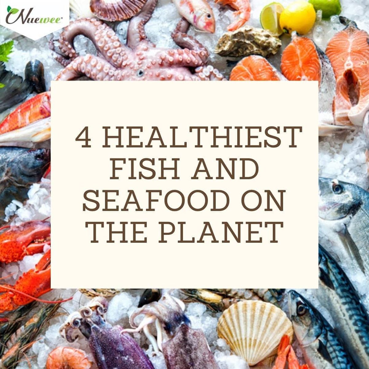 4 HEALTHIEST FISH AND SEAFOOD ON THE PLANET