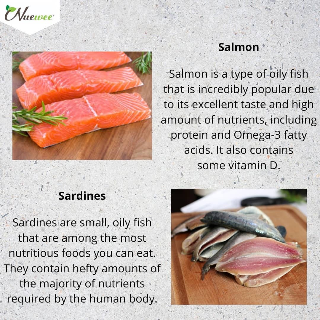 fish_seafood_protein_food_healthy_lifestyle_eating_habit (3).jpg