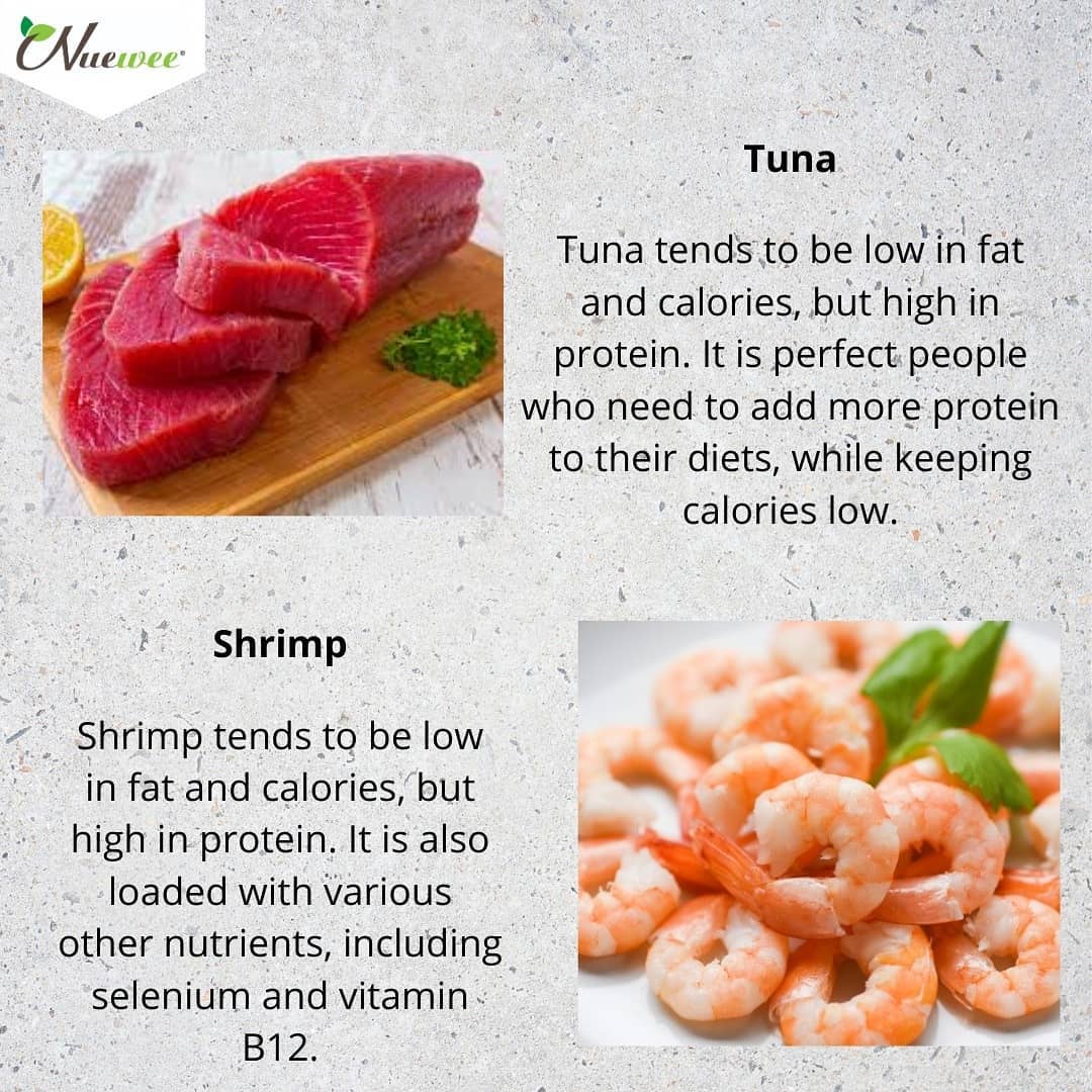 fish_seafood_protein_food_healthy_lifestyle_eating_habit (2).jpg