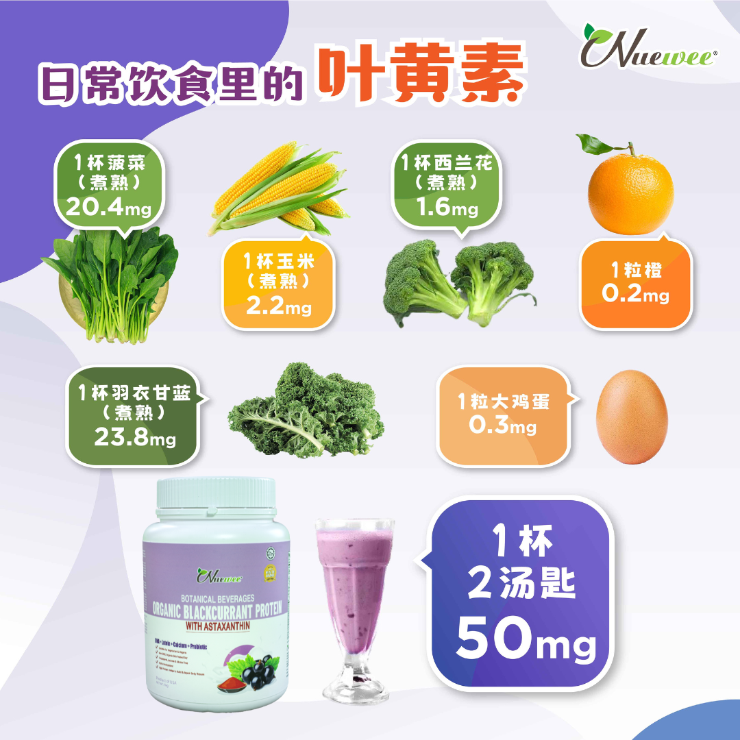 Nuewee-Blackcurrant-Protein-Lutein-CN