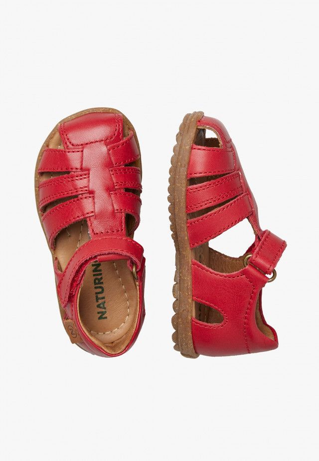 See-Red1