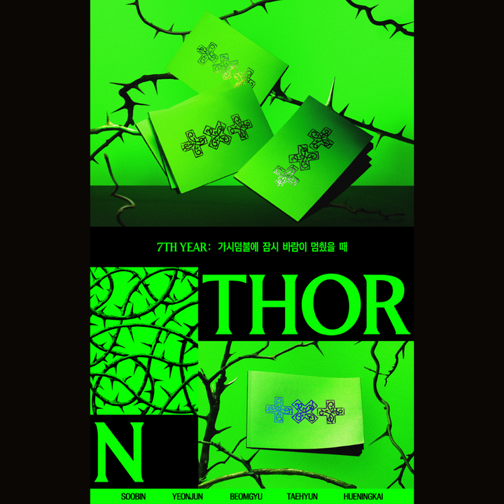 TOMORROW X TOGETHER（TXT）- 出道七週年鉅獻 WHEN THE WIND PAUSED AMONG THE THORNS 【THORN 版】 (CD) 內頁 1