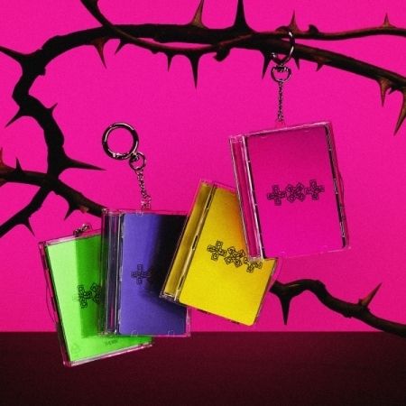 TOMORROW X TOGETHER（TXT）- 出道七週年鉅獻 WHEN THE WIND PAUSED AMONG THE THORNS 【PHOTOCARD CASE 版】 (數位專輯) 封面