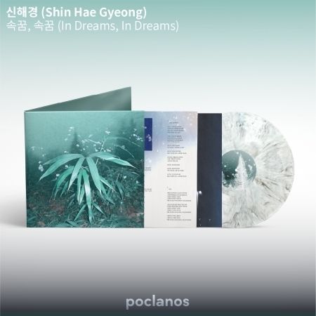 SHIN HAE KYUNG - DREAM WITHIN, DREAM WITHIN （黑膠唱片 LP） 封面