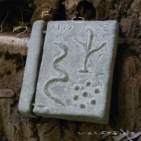 1009264868