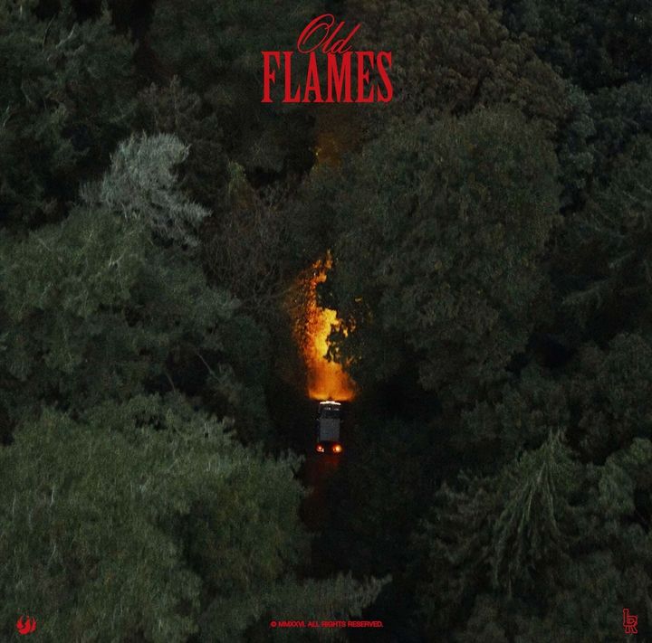 La Roux - Old Flames （黑膠唱片 LP） 內頁 1