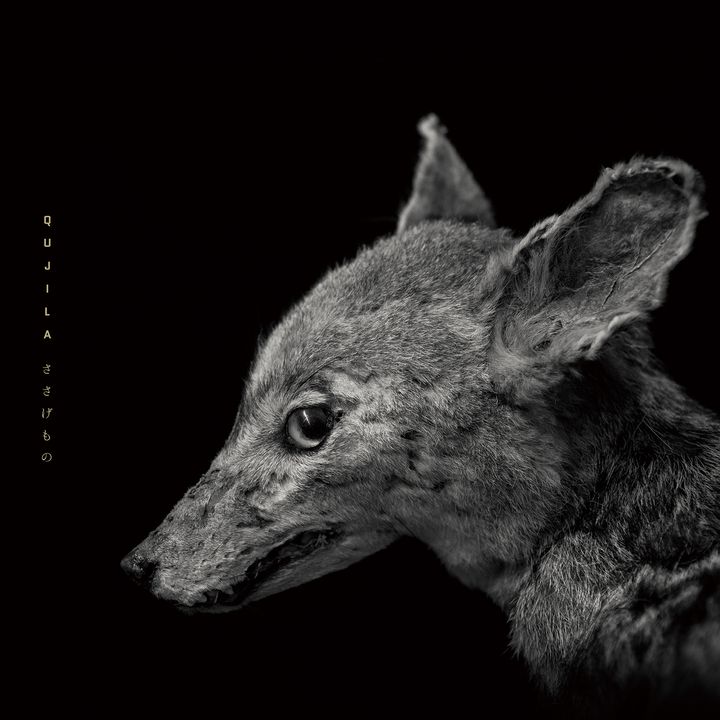Qujila - ささげもの【日盤】（黑膠唱片 LP） 封面