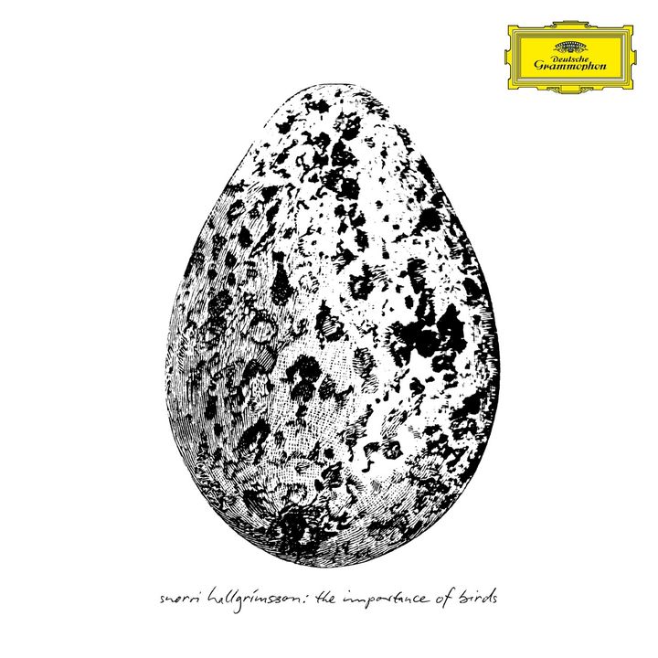 斯諾里霍格利森 Snorri Hallgrímsson - The Importance of Birds【冰島新古典鋼琴新作】（黑膠唱片 LP） 封面