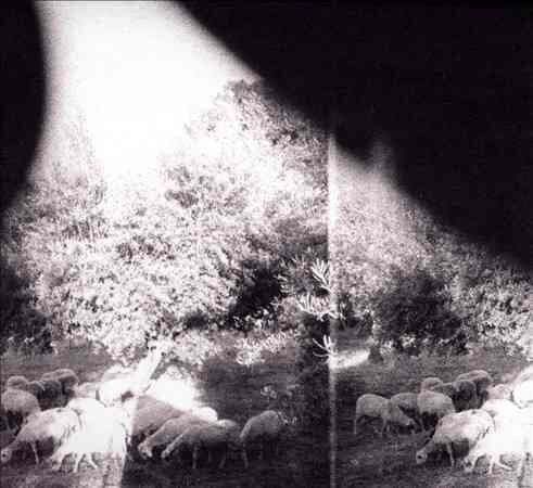 Godspeed You Black Emperor - Asunder Sweet & Other Distress 【180g 黑膠｜附數位下載碼】（黑膠唱片 LP） 封面