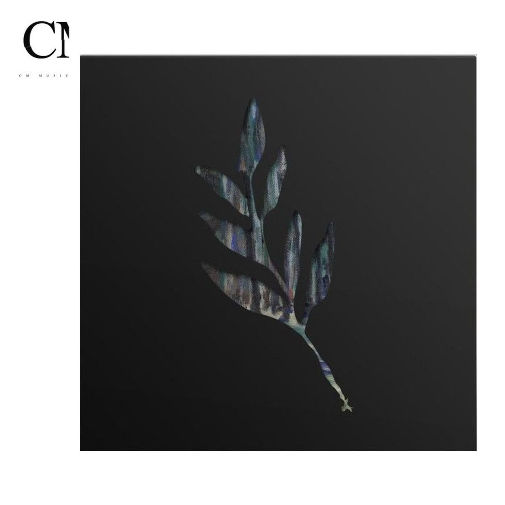 The Album Leaf - An Orchestrated Rise to Fall【藍色彩膠】（黑膠唱片 LP） 封面