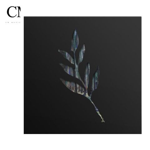 The Album Leaf - An Orchestrated Rise to Fall【藍色彩膠】（黑膠唱片 LP）