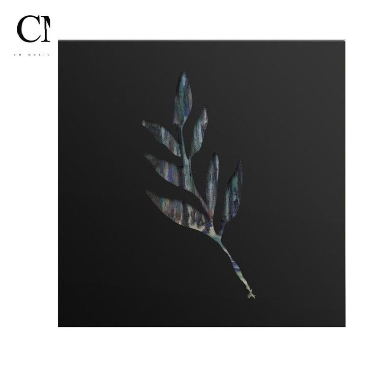 The Album Leaf - An Orchestrated Rise to Fall【藍色彩膠】（黑膠唱片 LP） 封面