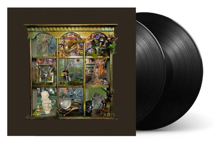 Billy Strings - So Much For Goodbyes 【140g】（黑膠唱片 LP） 封面