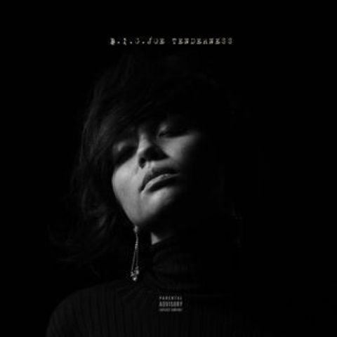B.I.G.JOE - Tenderness【日盤】（黑膠唱片 2LP）