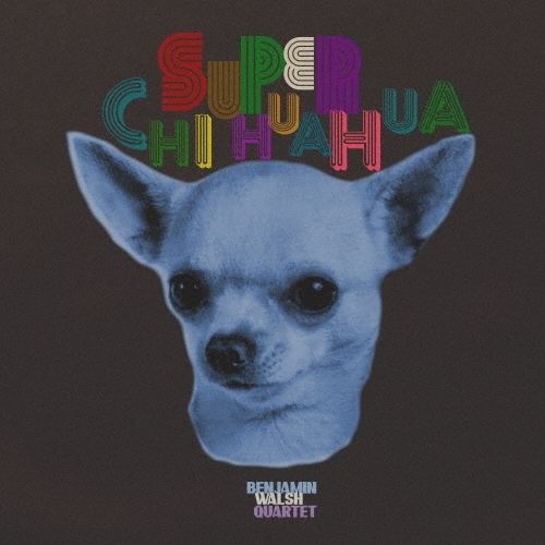 BENJAMIN WALSH QUARTET - SUPER CHIHUAHUA / CONUNDRUM(7")【日盤】（黑膠唱片 LP） 封面