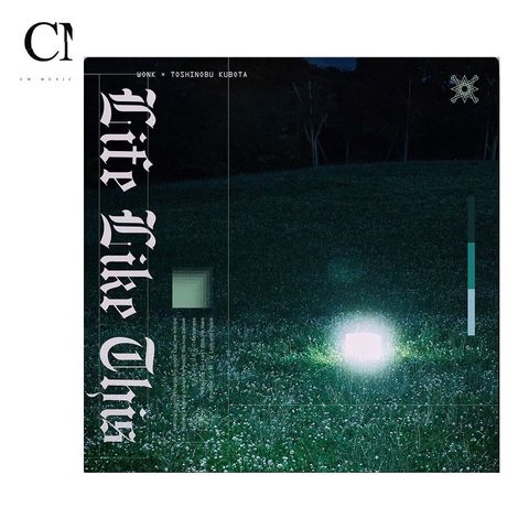 WONK - Here I Am / Life Like This【7吋膠】（黑膠唱片 LP）