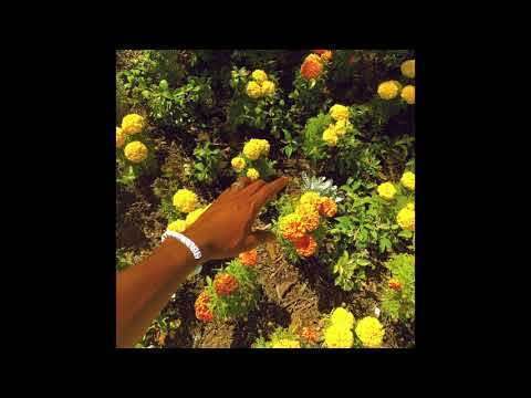 Tyler, The Creator & Prophet - Peach Fuzz【限量｜造型膠｜圖片彩膠】（黑膠唱片 LP） 內頁 1