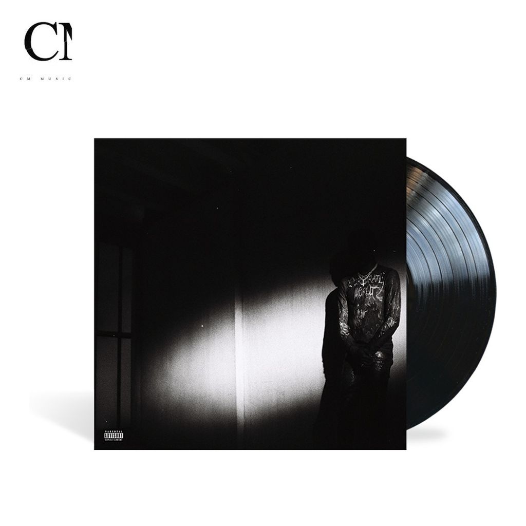 Destroy Lonely - NO STYLIST（黑膠唱片 LP） 封面