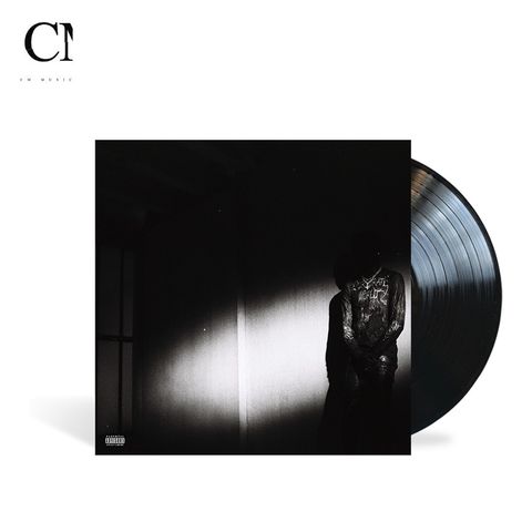 Destroy Lonely - NO STYLIST(黑膠唱片 LP)