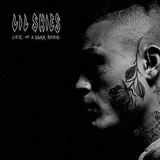 Lil Skies - Life Of A Dark Rose（黑膠唱片 LP） 封面