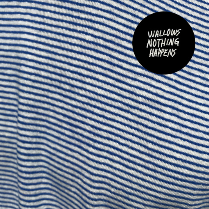 Wallows- Nothing Happens（黑膠唱片 LP / CD） 封面