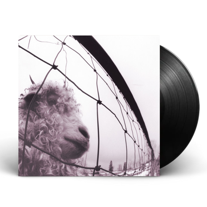 Pearl Jam- Vs.（30週年 45 rpm｜一般版｜黑膠唱片 LP） 封面