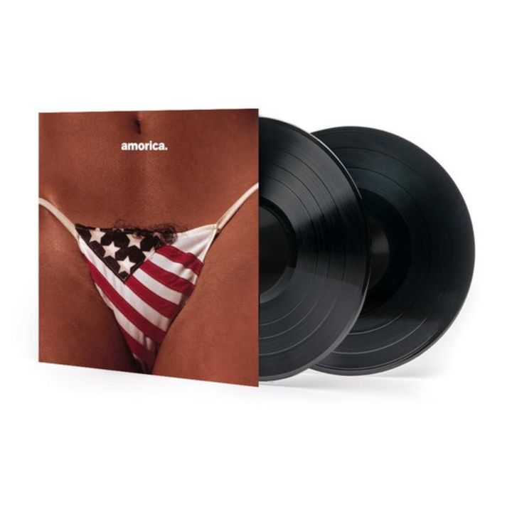 The Black Crowes - Amorica（黑膠唱片 2LP） 內頁 1