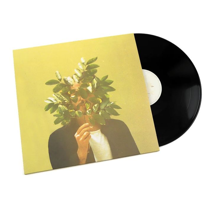 FKJ aka French Kiwi Juice - French Kiwi Juice（黑膠唱片 2LP） 封面