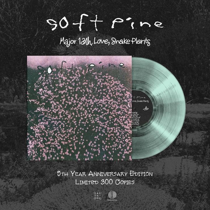 Soft Pine- Major 13th, Love, Snake Plants（5週年｜黑膠唱片 LP） 封面