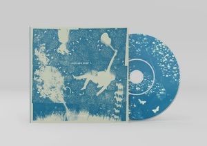 Iron & Wine - Light Verse（CD） 封面