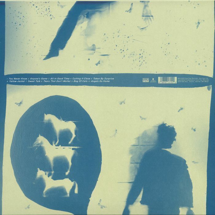 Iron & Wine - Light Verse（透明藍潑墨｜黑膠唱片 LP） 內頁 1