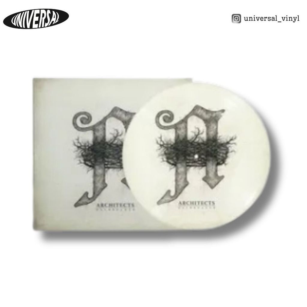 vinyl - 2025-01-26T134834.456