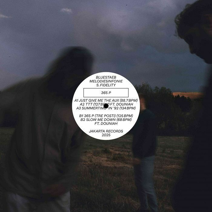 Bluestaeb, Melodiesinfonie & S. Fidelity - 365 P（黑膠唱片 LP） 封面