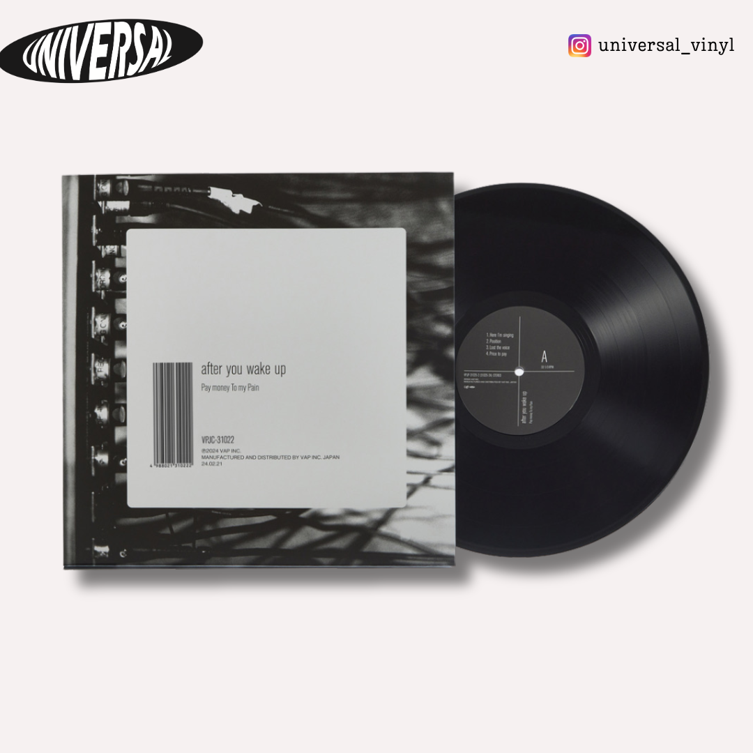 未開封】PaymoneyTomyPain VINYL COMPLETE BOX Pay money To my Pain