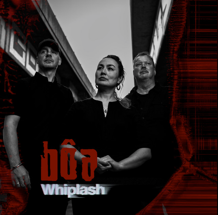 Boa - Whiplash（黑膠唱片 LP） 封面