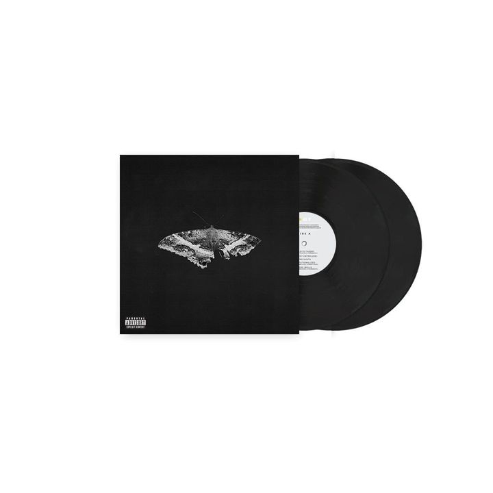 Kendrick Lamar - To Pimp A Butterfly （黑膠唱片 2LP） 封面