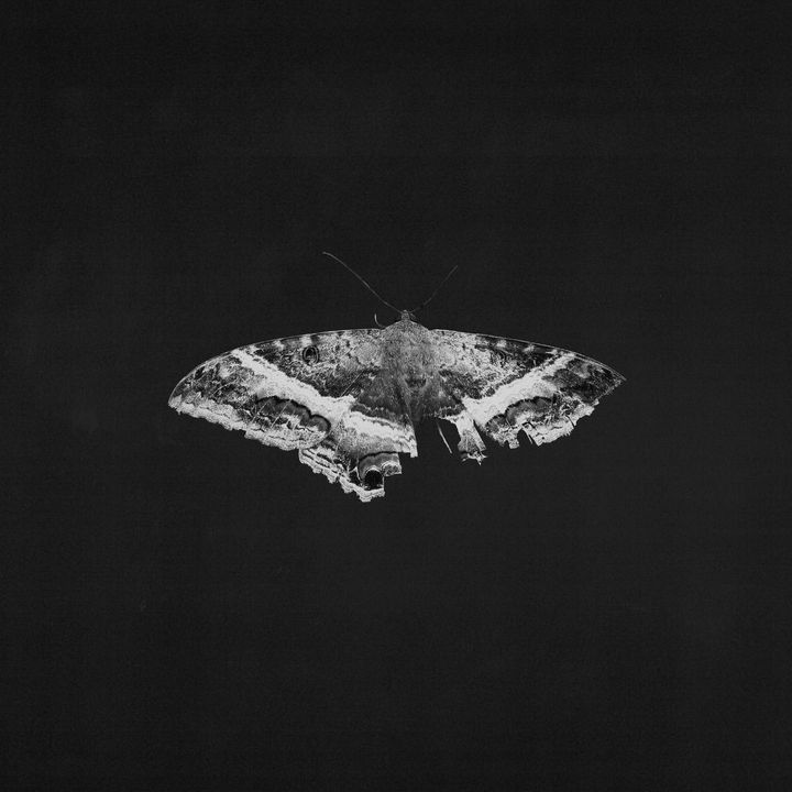 Kendrick Lamar - To Pimp A Butterfly （黑膠唱片 2LP） 內頁 1
