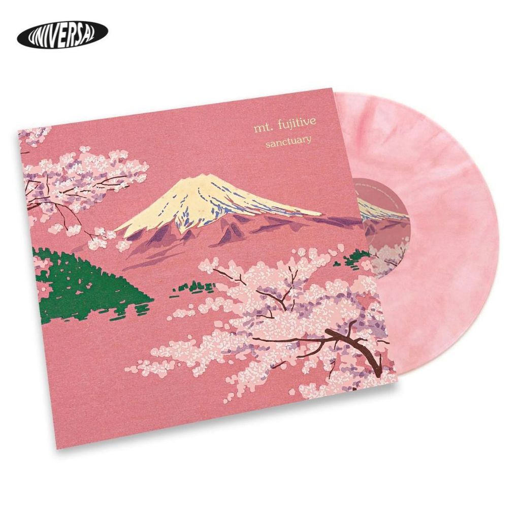 vinyl_-_2025-06-05T230714.253