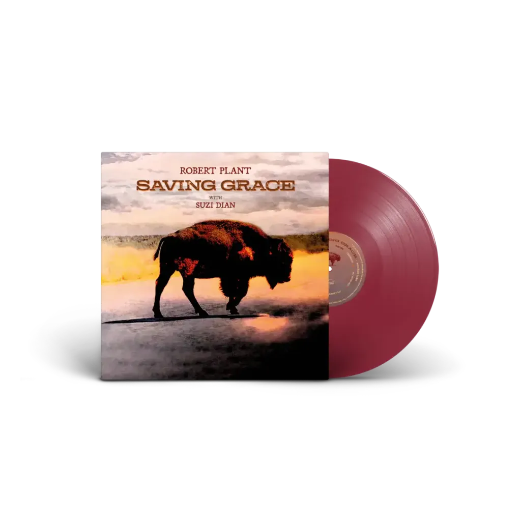 saving_grace_d2c-indie_color_lp_mockup