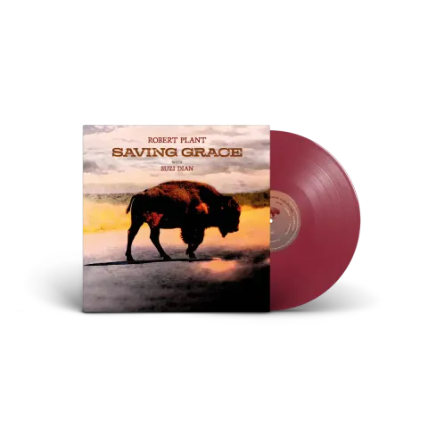 saving_grace_d2c-indie_color_lp_mockup
