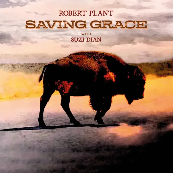 Robert Plant - Saving Grace 【搖滾名人堂成｜Indie 獨家版 彩膠】 （CD） 內頁 1