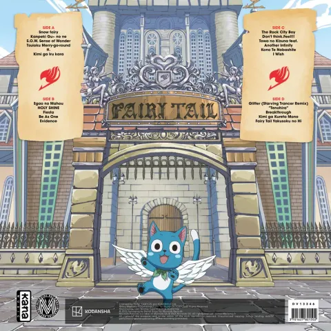 BACK-FAIRY-TAIL_1000x1500
