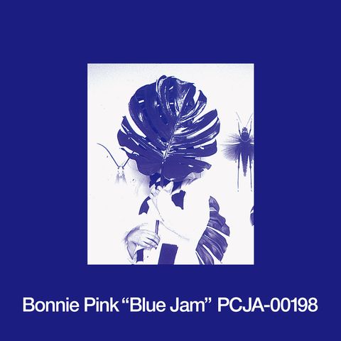 PCJA-00198